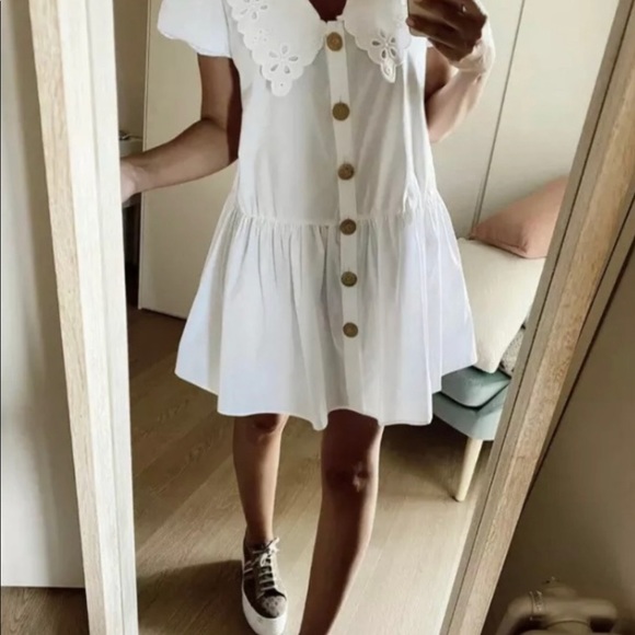 Blogger Favorite ZARA Guipure Poplin Collar Dress - Picture 3 of 6